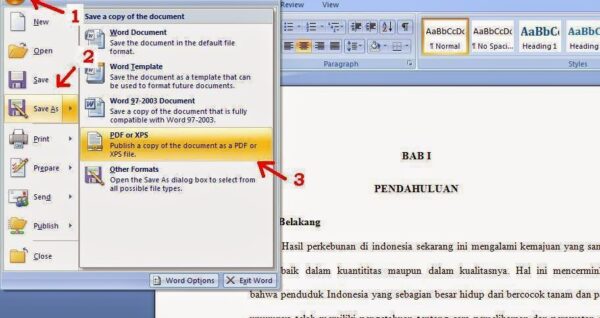 3 Cara Mengubah File Word 2007 ke PDF Tanpa Ribet yang Wajib Kamu Tahu